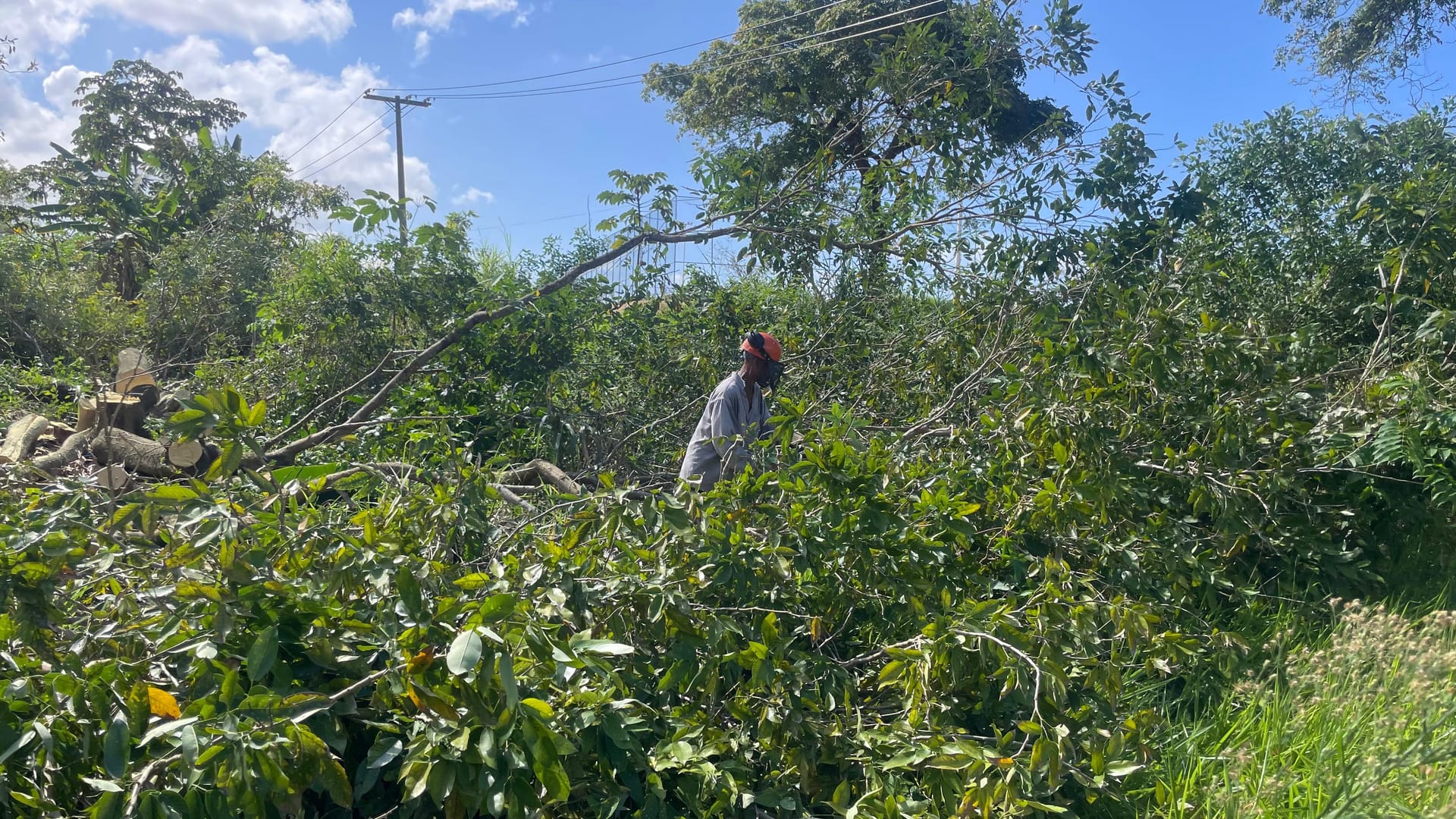 Profissional da Mahin acompanhando atividade de supressão vegetal em campo