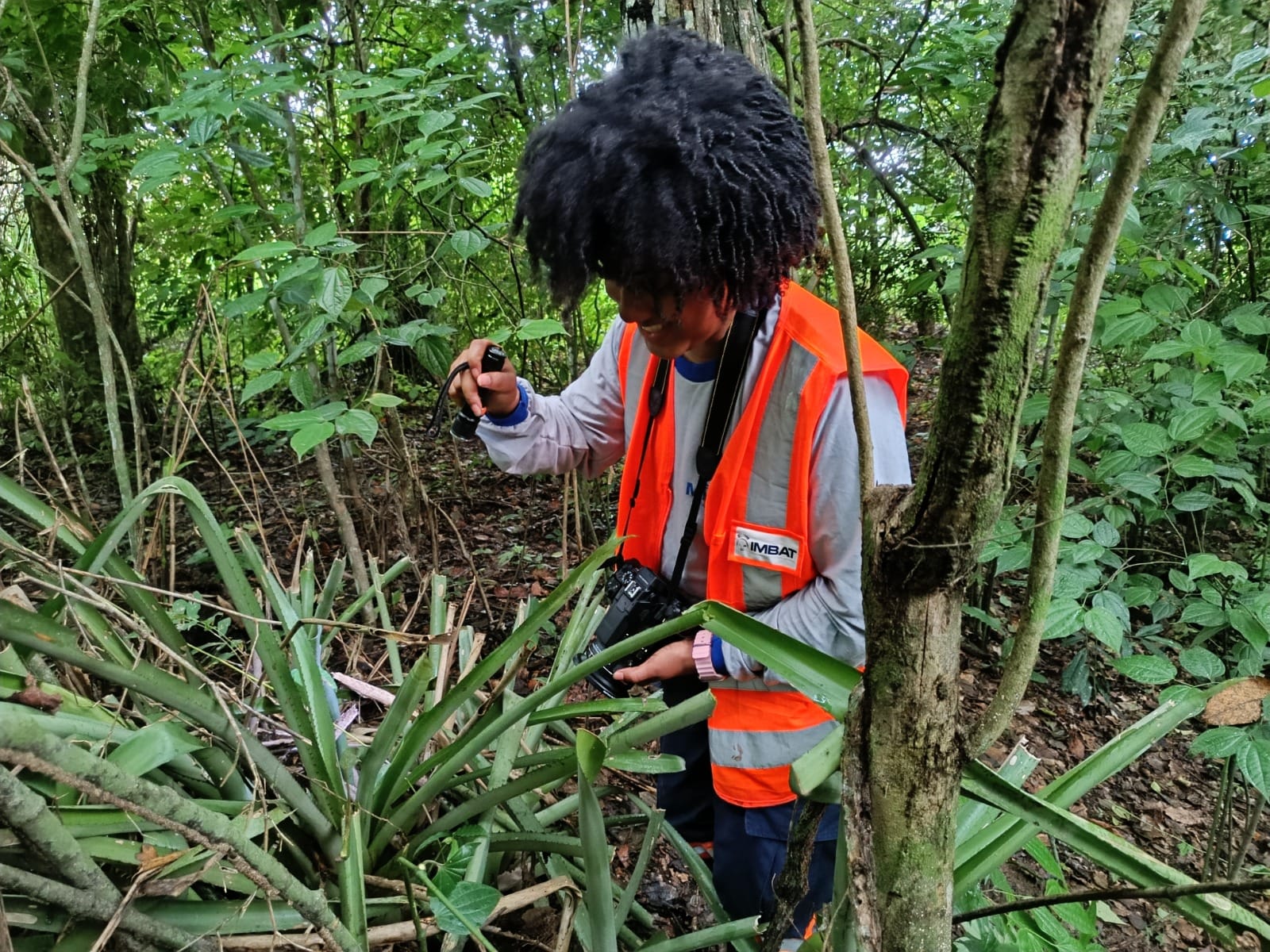 Conhecimento técnico aplicado à vegetação